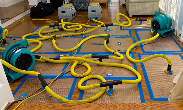 Professional Emergency Water Removal technician working in Mont Belvieu, TX